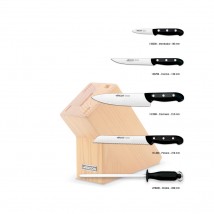 Taco de cuchillos doméstico con chaira, cuchillo pan, cebollero, pelador y cuchillo de cocina