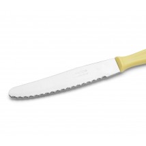 Cuchillo Queso 105 mm Arcos Latina 1025